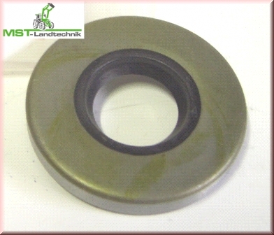 Kurbelwellen Wellendichtring oben an der Kurbelwelle unter dem Polrad AS Mäher AS Motor 6PS