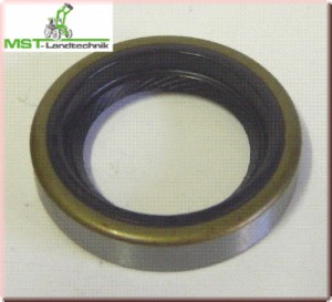 Kurbelwellen Wellendichtring unten am Getriebeflansch AS26, AS27