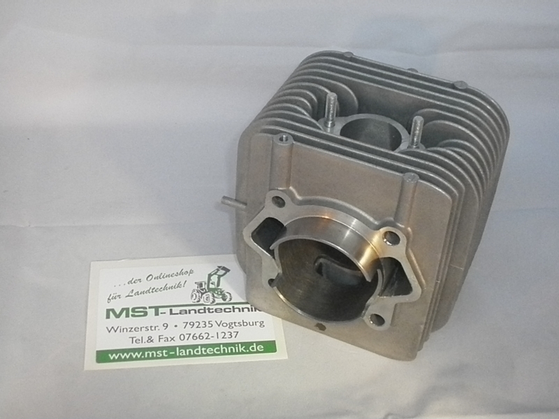 Original AS Motor 2-Takt 4,4KW (6PS) 165ccm Zylinder einzeln 60mm neu