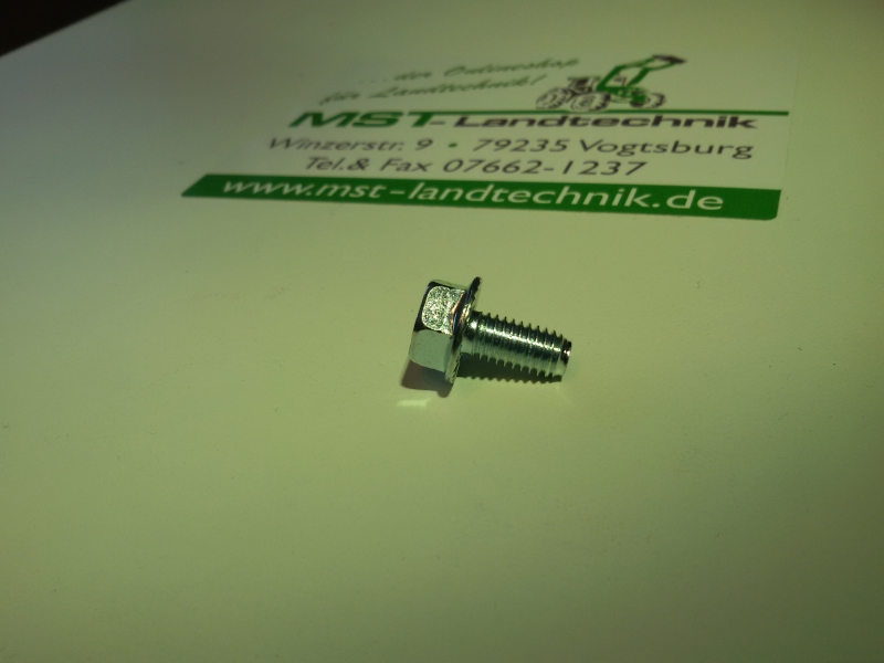 M6 Sechskantschraube mit Sperrverzahnung G00009016