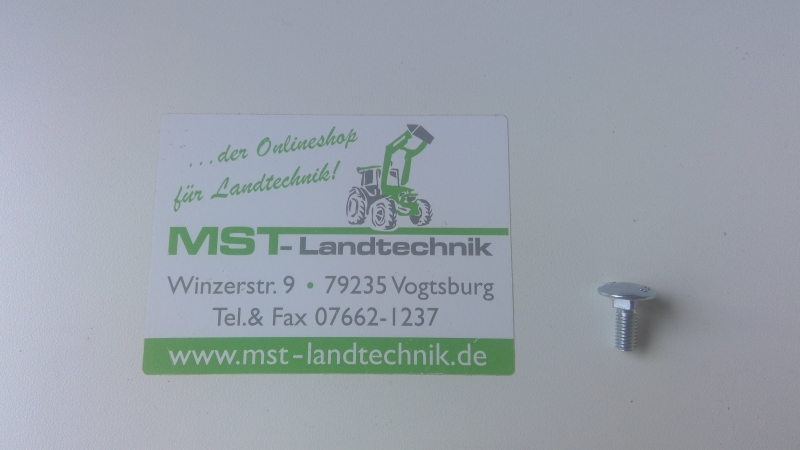 Flachrundschr. m. 4kt- Ansatz G07827003