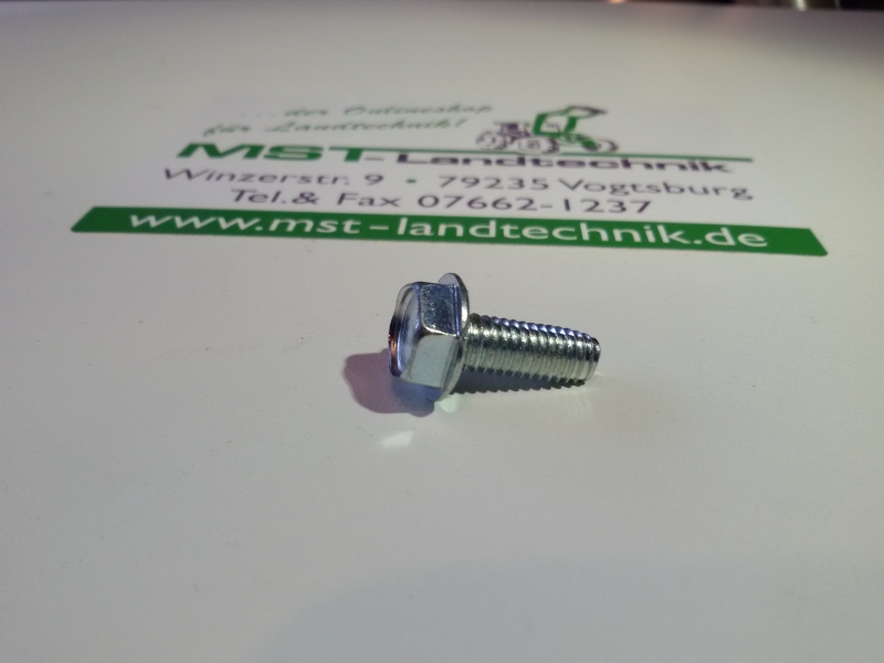 Gew. furch. Schr. Gewindefurchschraube