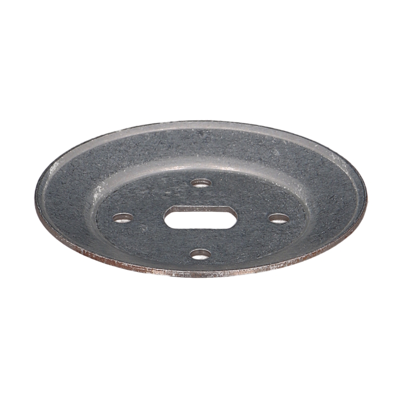 Riemenscheibenhäfte