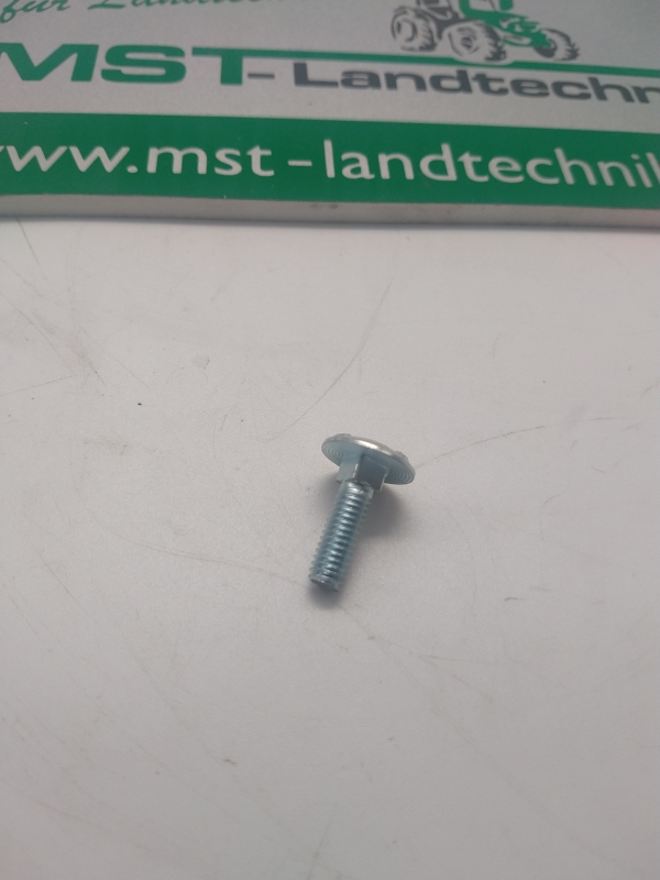 Flachrundschr. m. 4kt- Ansatz