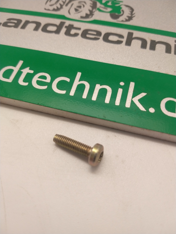 Gew. furch. Schr. mit Torx