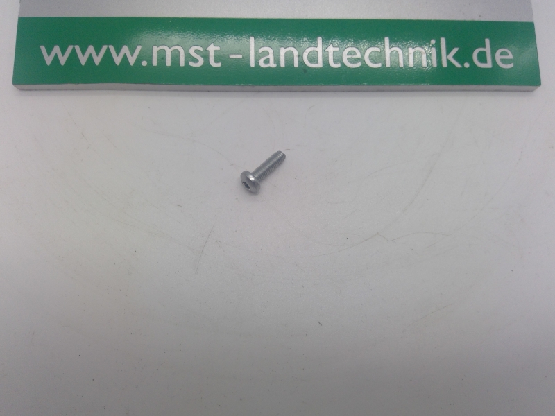 Gew. furch. Schr. mit Torx