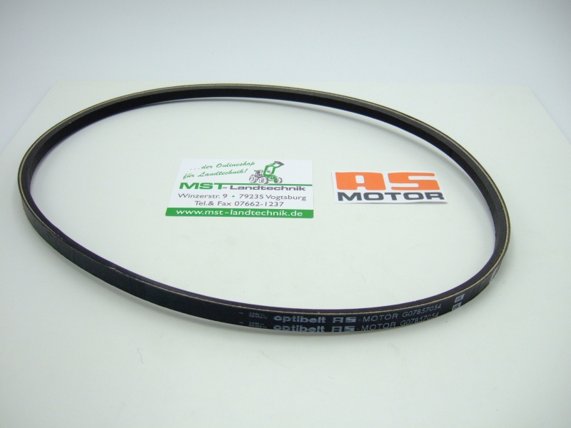 Keilriemen Kupplung Messer Messerkupplung AS 63 4T Honda, 2T sowie B&S Optibelt *Original AS-Motor Ersatzteil*