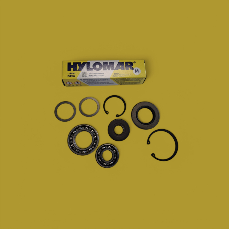 AS-Motor Kubelwelle-Motorlagerung Rillenkugellager mit Wellendichtring SET zur Instandsetzung des Kurbelwellen Gehäuses 6PS