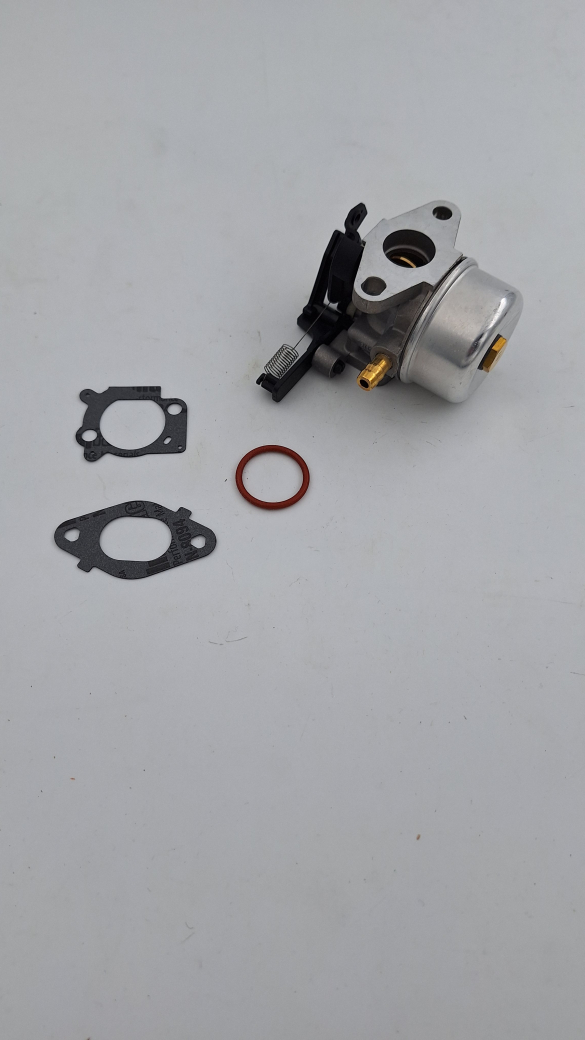 Briggs & Stratton Vergaser 799226
