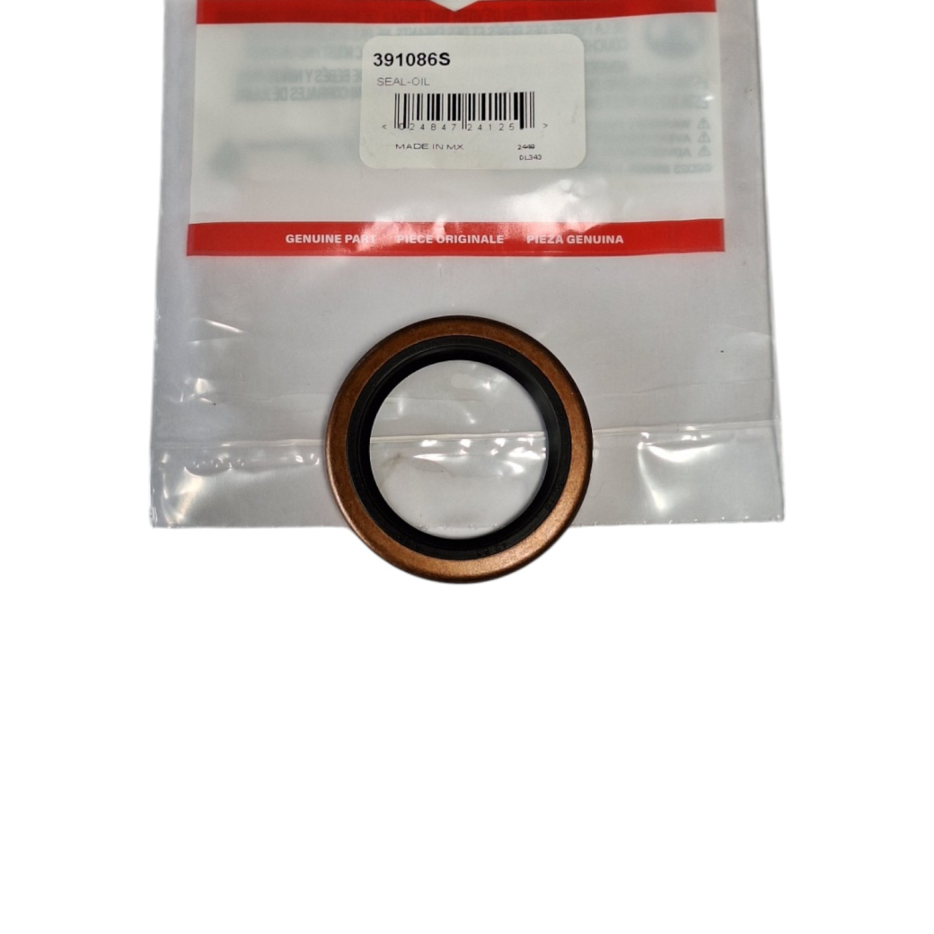 Briggs & Stratton Original Öldichtring Wellendichtring Simmenring – Zuverlässige Motorabdichtung für langlebigen Schutz