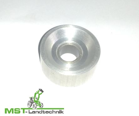 Spannrolle einzeln mit Trockenlaufbuchse AS21AH9, 21/165/2, 26AH9, 27/2, 28, 22, 22.3