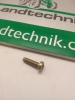 Gew. furch. Schr. mit Torx