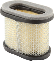 B&S Luftfilter Oval Luftfilterpatrone 697029 B&S 900 Series Briggs & Stratton Original Ersatzteil