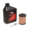 Briggs + Stratton Wartungskit MODEL 21, SERIES 3 POWERBUILT, INTEK I/C® OHV 21R5, 21R6, 21R7, 21R8