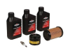 Briggs + Stratton Wartungskit MODEL 31, SERIES 4 INTEK I/C OHV 31R7, 31R8, 31R9