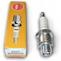 Widerstandskerze NGK Zündkerze für 6PS 2T AS-Motor Easy Start Variante "ES" ab Baujahr 2015