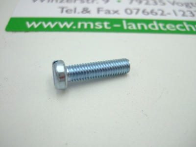 Zylinderschraube G07802028