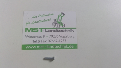 Schraube für Kunststoff