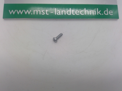Gew. furch. Schr. mit Torx