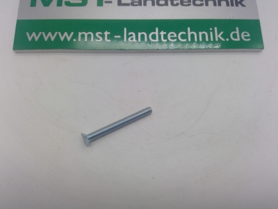 Senkschraube m. Innen- Torx